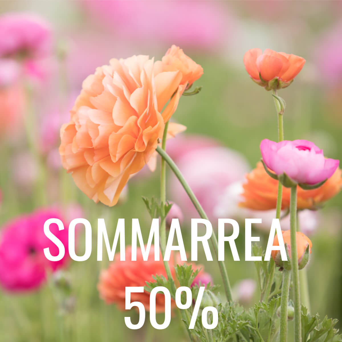 Sommarrea 2019 FB